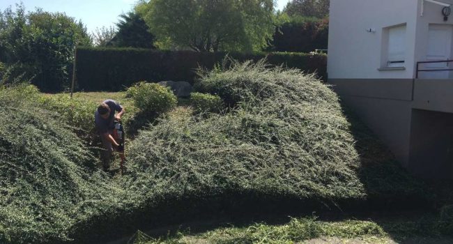 Entretien espaces verts syndics et copropriétés