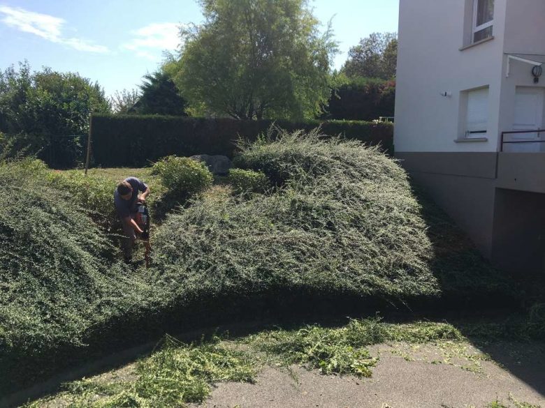 Entretien espaces verts syndics et copropriétés